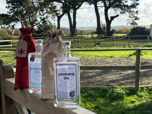 Ammonite Gin