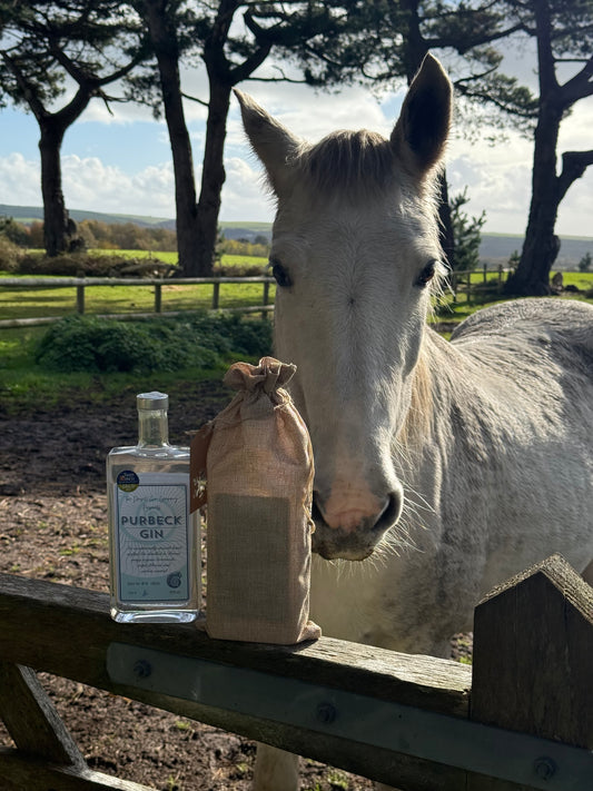 Purbeck Gin